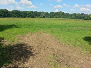 Bury Hill Camp, looking across from the eastern entrance