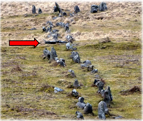 The sinuous form of this row is obvious when viewed along its length from the south west. The large stones at the top of the photograph surround the cairn. The form of the row strongly suggests that perhaps it was an established path that was subsequently denoted by stones. The large recumbent stone is indicated by a red arrow. This is the point where the sea becomes visible for the first time as you walk up the row.